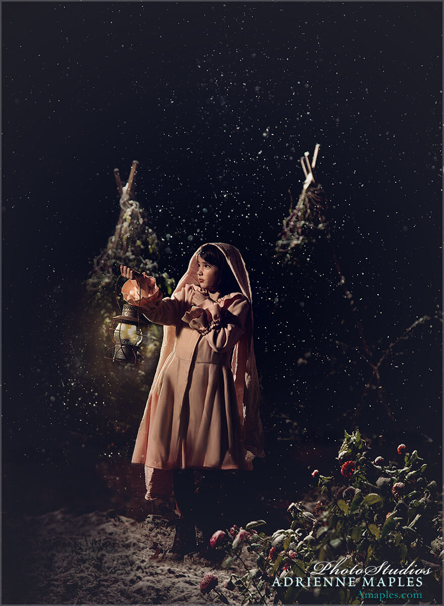Fine art winter portrait